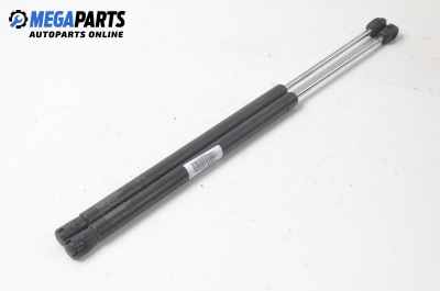 Bonnet damper for Renault Scenic II 1.9 dCi, 120 hp, minivan, 2004