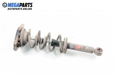 Macpherson shock absorber for Nissan Almera (N16) 2.2 Di, 110 hp, sedan, 2000, position: rear - right