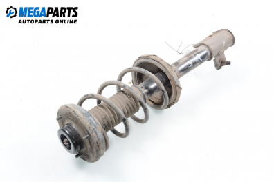 Macpherson shock absorber for Suzuki Baleno 1.6 16V, 98 hp, station wagon, 1998, position: rear - left