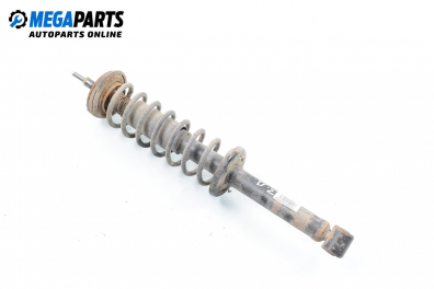 Macpherson shock absorber for Seat Cordoba (6K) 1.6, 101 hp, station wagon, 1998, position: rear - right