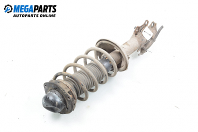 Macpherson shock absorber for Seat Ibiza (6K) 1.4, 60 hp, hatchback, 2000, position: front - left