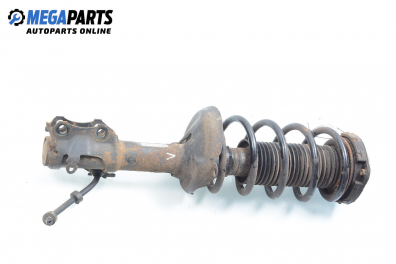 Macpherson shock absorber for Seat Ibiza III (6K1) (1999-08-01 - 2002-02-01), hatchback, position: front - left