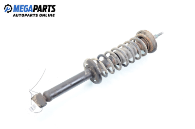 Macpherson shock absorber for Seat Ibiza II (6K1) (03.1993 - 08.1999), hatchback, position: rear - right