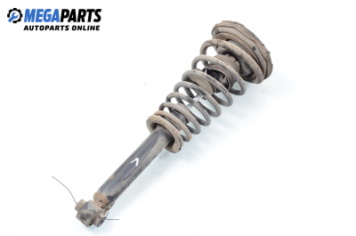 Macpherson shock absorber for Nissan Primera Traveller (WP11) (06.1996 - 01.2002), station wagon, position: front - left