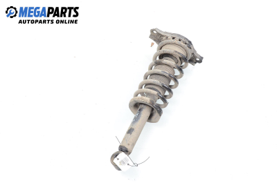 Macpherson shock absorber for Nissan Primera Traveller (WP11) (06.1996 - 01.2002), station wagon, position: rear - right