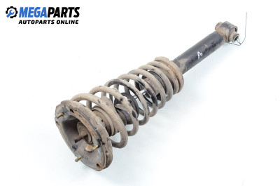 Macpherson shock absorber for Nissan Primera Traveller (WP11) (06.1996 - 01.2002), station wagon, position: front - right