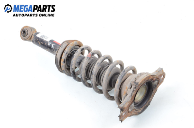 Macpherson shock absorber for Nissan Primera Traveller (WP11) (06.1996 - 01.2002), station wagon, position: rear - left