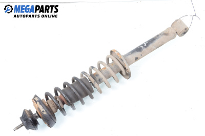 Macpherson shock absorber for Seat Ibiza II (6K1) (03.1993 - 08.1999), hatchback, position: rear - right