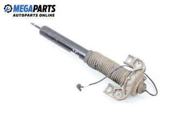 Shock absorber for Lancia Thesis (841AX) (07.2002 - 07.2009), sedan, position: rear - right
