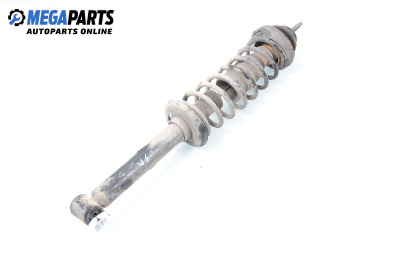 Macpherson shock absorber for Seat Ibiza II (6K1) (03.1993 - 08.1999), hatchback, position: rear - left