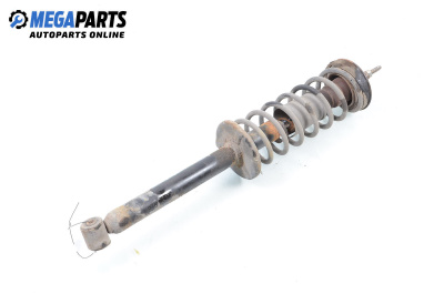 Macpherson shock absorber for Volkswagen Golf III Hatchback (08.1991 - 07.1998), hatchback, position: rear - right