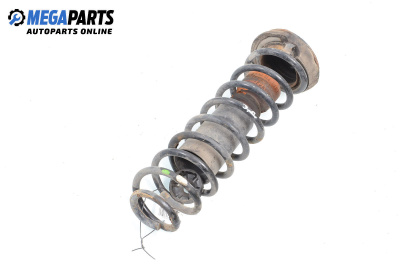 Coil spring for Seat Ibiza III Hatchback (08.1999 - 02.2002), hatchback, position: rear