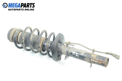 Macpherson shock absorber for Audi A3 Hatchback I (09.1996 - 05.2003), hatchback, position: front - right, № SD6V12