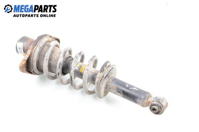 MacPherson-federbein for Volkswagen Passat IV Variant B5.5 (09.2000 - 08.2005), combi, position: rechts, rückseite