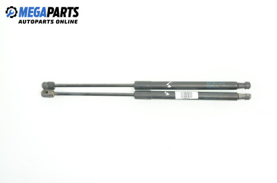 Tije telescopice, portbagaj for Volkswagen Passat V Variant B6 (08.2005 - 11.2011)