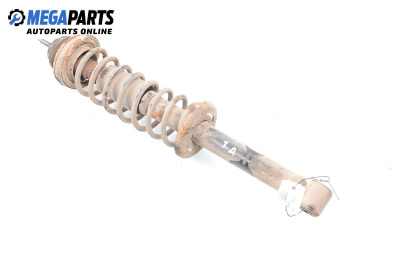 Macpherson shock absorber for Seat Ibiza II Hatchback (03.1993 - 05.2002), hatchback, position: rear - right