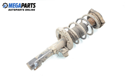 Macpherson shock absorber for Seat Ibiza III Hatchback (02.2002 - 11.2009), hatchback, position: front - right