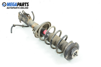 Macpherson shock absorber for Seat Cordoba Vario II (06.1999 - 12.2002), station wagon, position: front - left