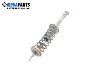 Macpherson shock absorber for Seat Cordoba Vario II (06.1999 - 12.2002), station wagon, position: rear - right