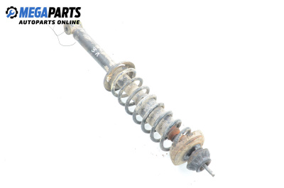 Macpherson shock absorber for Seat Cordoba Vario II (06.1999 - 12.2002), station wagon, position: rear - left