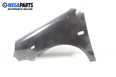 Fender for Volkswagen Polo Hatchback IV (10.2001 - 12.2005), 5 doors, hatchback, position: front - left