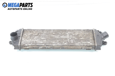 Intercooler for Nissan Primastar Box (X83) (09.2002 - ...) 2.0 dCi 115, 114 hp