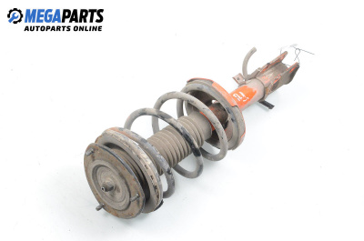 Macpherson shock absorber for Suzuki Baleno Wagon (08.1996 - 04.2005), station wagon, position: front - right