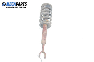 Macpherson shock absorber for Audi A6 Avant C5 (11.1997 - 01.2005), station wagon, position: front - left