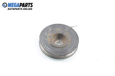 Damper pulley for Renault Clio III Hatchback (01.2005 - 12.2012) 1.2 16V (BR0P, CR0P), 101 hp