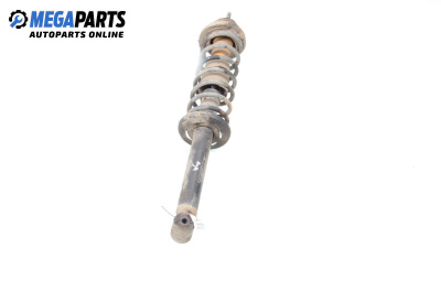 Macpherson shock absorber for Volkswagen Polo Hatchback III (10.1999 - 10.2001), hatchback, position: rear - left