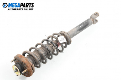 Macpherson shock absorber for Chevrolet Epica Sedan (01.2005 - ...), sedan, position: rear - left