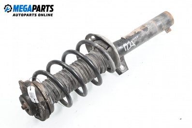 Macpherson shock absorber for Seat Altea Minivan (03.2004 - 12.2015), minivan, position: front - right