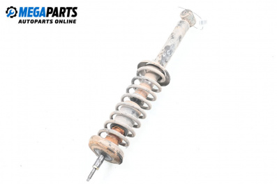 Macpherson shock absorber for Seat Ibiza II Hatchback (03.1993 - 05.2002), hatchback, position: rear - left