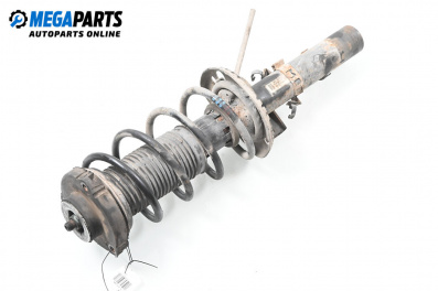 Macpherson shock absorber for Seat Ibiza III Hatchback (02.2002 - 11.2009), hatchback, position: front - right