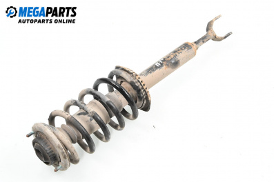 Macpherson shock absorber for Audi A6 Sedan C5 (01.1997 - 01.2005), sedan, position: front - left