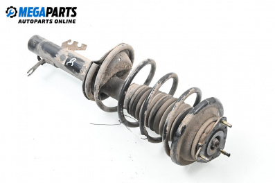 Macpherson shock absorber for Ford Focus I Estate (02.1999 - 12.2007), station wagon, position: front - right