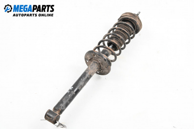 Macpherson shock absorber for Volkswagen Golf III Hatchback (08.1991 - 07.1998), hatchback, position: rear - right