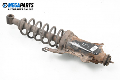 Macpherson shock absorber for Opel Vectra B Estate (11.1996 - 07.2003), station wagon, position: rear - right