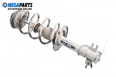 Macpherson shock absorber for Fiat Punto Hatchback II (09.1999 - 07.2012), hatchback, position: front - right