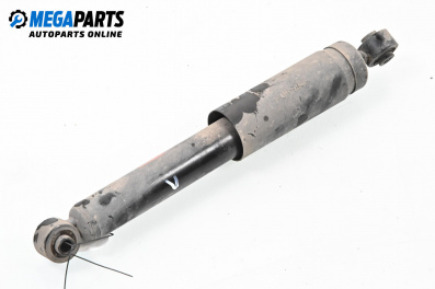 Shock absorber for Fiat Punto Hatchback II (09.1999 - 07.2012), hatchback, position: rear - left