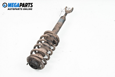 Macpherson shock absorber for Audi A6 Sedan C5 (01.1997 - 01.2005), sedan, position: front - left