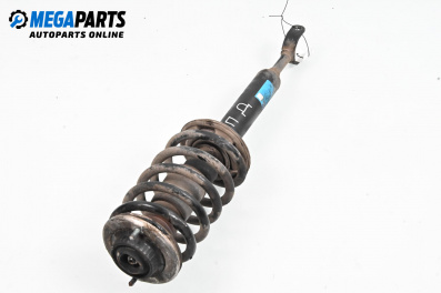 Macpherson shock absorber for Audi A6 Sedan C5 (01.1997 - 01.2005), sedan, position: front - right