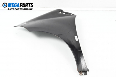 Fender for Mercedes-Benz A-Class Hatchback W169 (09.2004 - 06.2012), 5 doors, hatchback, position: front - left