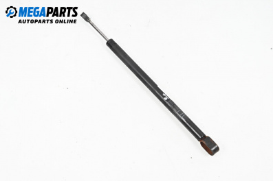 Tijă telescopică ușă for BMW 7 Series E65 (11.2001 - 12.2009)