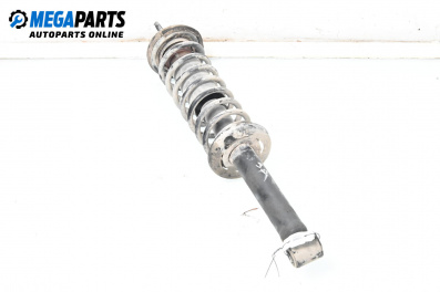 Macpherson shock absorber for Seat Ibiza II Hatchback (Facelift) (08.1999 - 02.2002), hatchback, position: rear - right