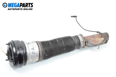 Air shock absorber for Mercedes-Benz S-Class Sedan (W220) (10.1998 - 08.2005), sedan, position: front - right