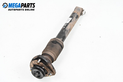 Shock absorber for BMW X5 Series E53 (05.2000 - 12.2006), suv, position: rear - right