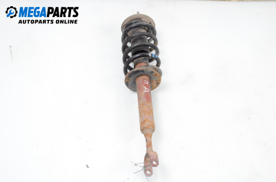 Macpherson shock absorber for Volkswagen Passat IV Sedan B5.5 (10.2000 - 12.2005), sedan, position: front - right