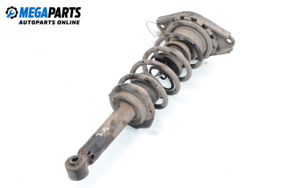 Macpherson shock absorber for Nissan Almera II Hatchback (01.2000 - 12.2006), hatchback, position: rear - right