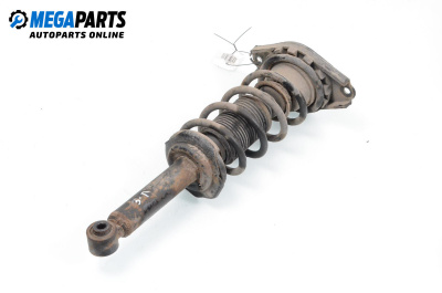 Macpherson shock absorber for Nissan Almera II Hatchback (01.2000 - 12.2006), hatchback, position: rear - left